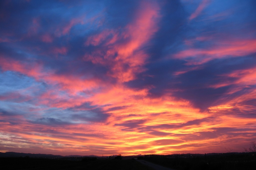 Posta (8)_joanalfaro